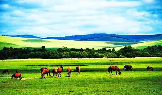 内蒙古小巷风情探秘