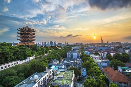 湖北，致敬领导与同胞的深情之声