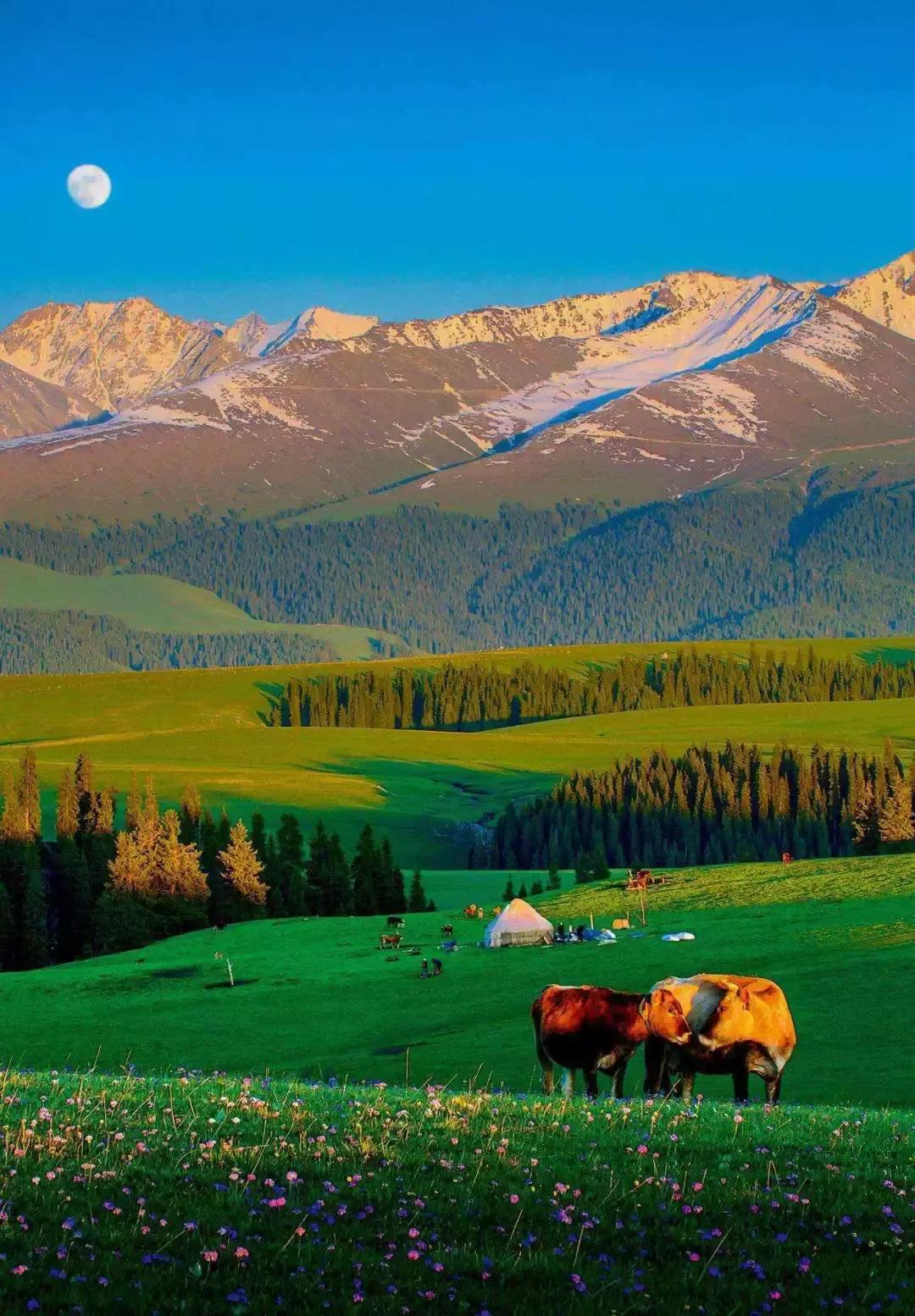 梦想疆界,新疆自信舞台